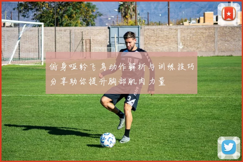 俯身哑铃飞鸟动作解析与训练技巧分享助你提升胸部肌肉力量